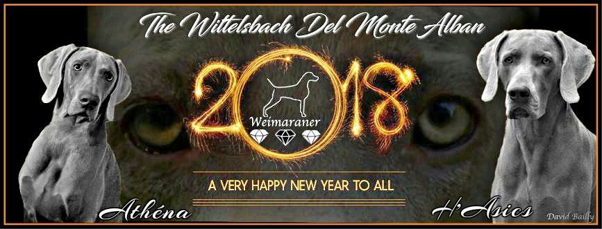 The Wittelsbach Del Monte Alban - HAPPY NEW YEAR 2018 ALL FRIENDS !!!!!