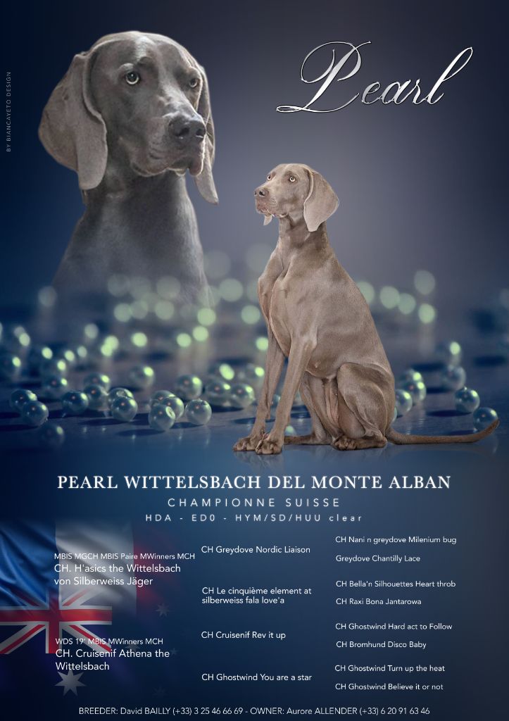 CH. Pearl The Wittelsbach Del Monte Alban
