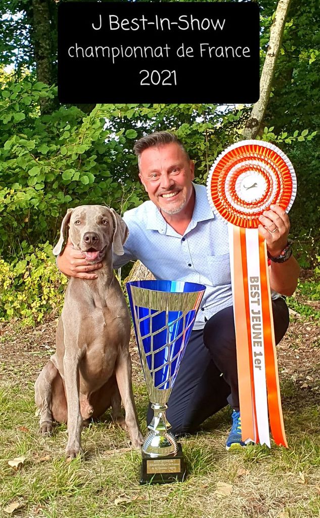 The Wittelsbach Del Monte Alban - ARTHUR J BEST-IN-SHOW du Championnat de France !!!