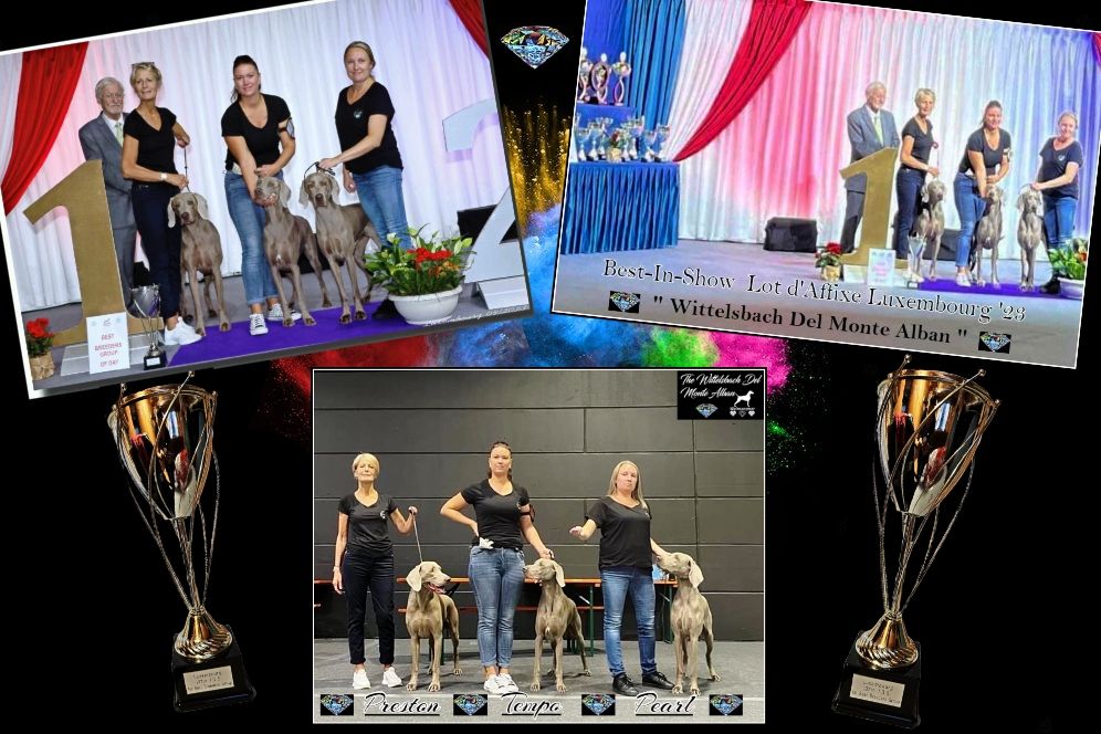 The Wittelsbach Del Monte Alban - BEST - IN - SHOW BREEDER TO LUXEMBOURG !!!