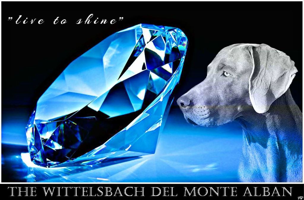 The Wittelsbach Del Monte Alban - Un geste de reconnaissance à forte émotion ...