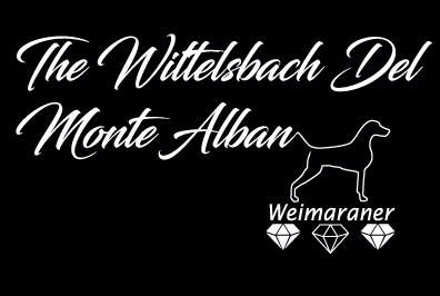 The Wittelsbach Del Monte Alban - Très fier  de vous présenter notre logo !!!!!