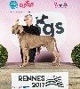  - ROCCO BOB Jeune IDS RENNES 2017 !!!