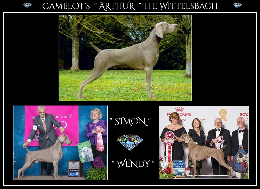CH. Camelot's Arthur the wittelsbach