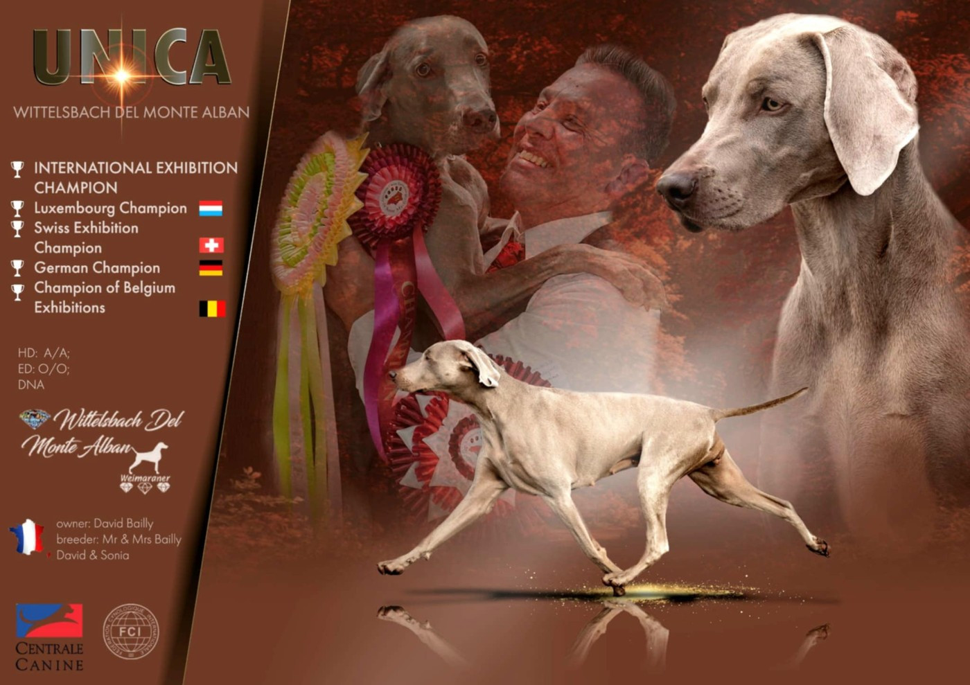 The Wittelsbach Del Monte Alban - " UNICA " Remporte son 5em titre de CHAMPION !!!!