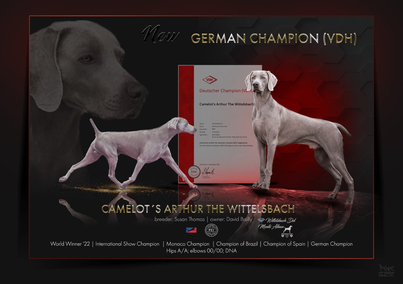 ARTHUR CHAMPION D'ALLEMAGNE VDH !!!