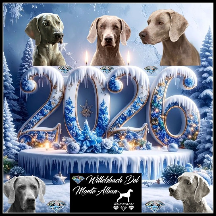 BONNE ANNEE 2026 !!!!