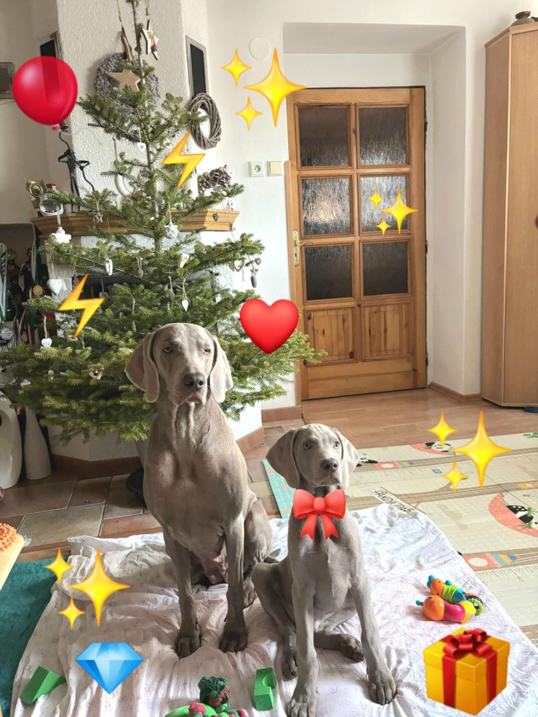 The Wittelsbach Del Monte Alban - " RAMSES " et " SIBYLA " prêt pour noel !!