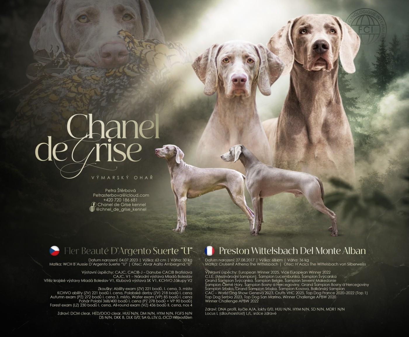 The Wittelsbach Del Monte Alban - " PRESTON & FLER " se sont unis !!!