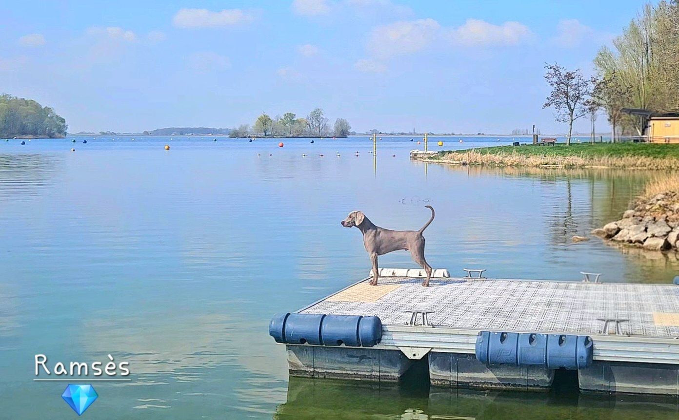 " RAMSES " a cinq mois !