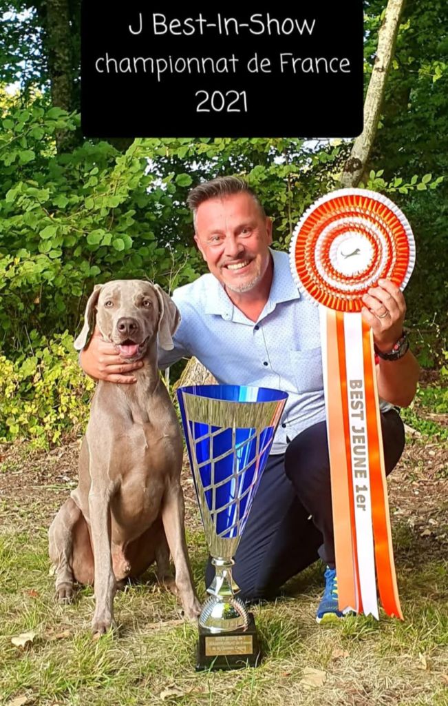 ARTHUR  J BEST-IN-SHOW DU CHAMPIONNAT DE FRANCE !!!