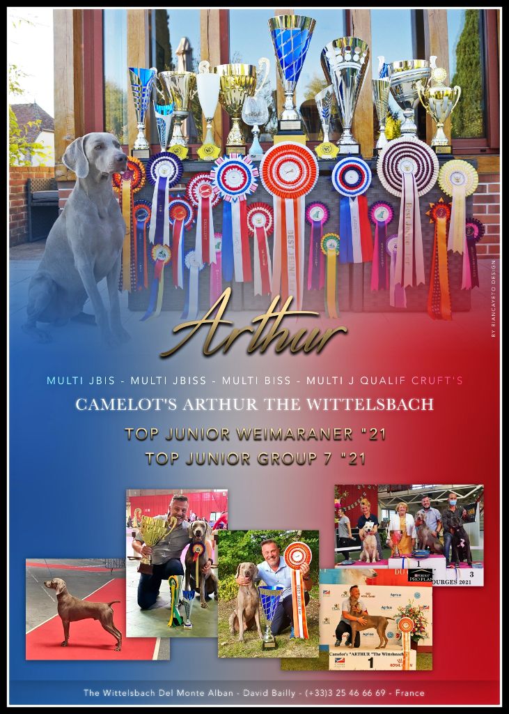 " ARTHUR " INIMITABLE en France !!!