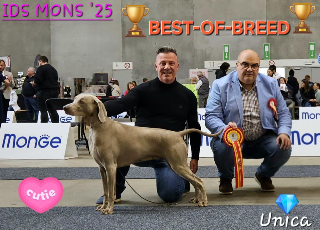 " UNICA " Meilleur de race à Mons"25 !!!
